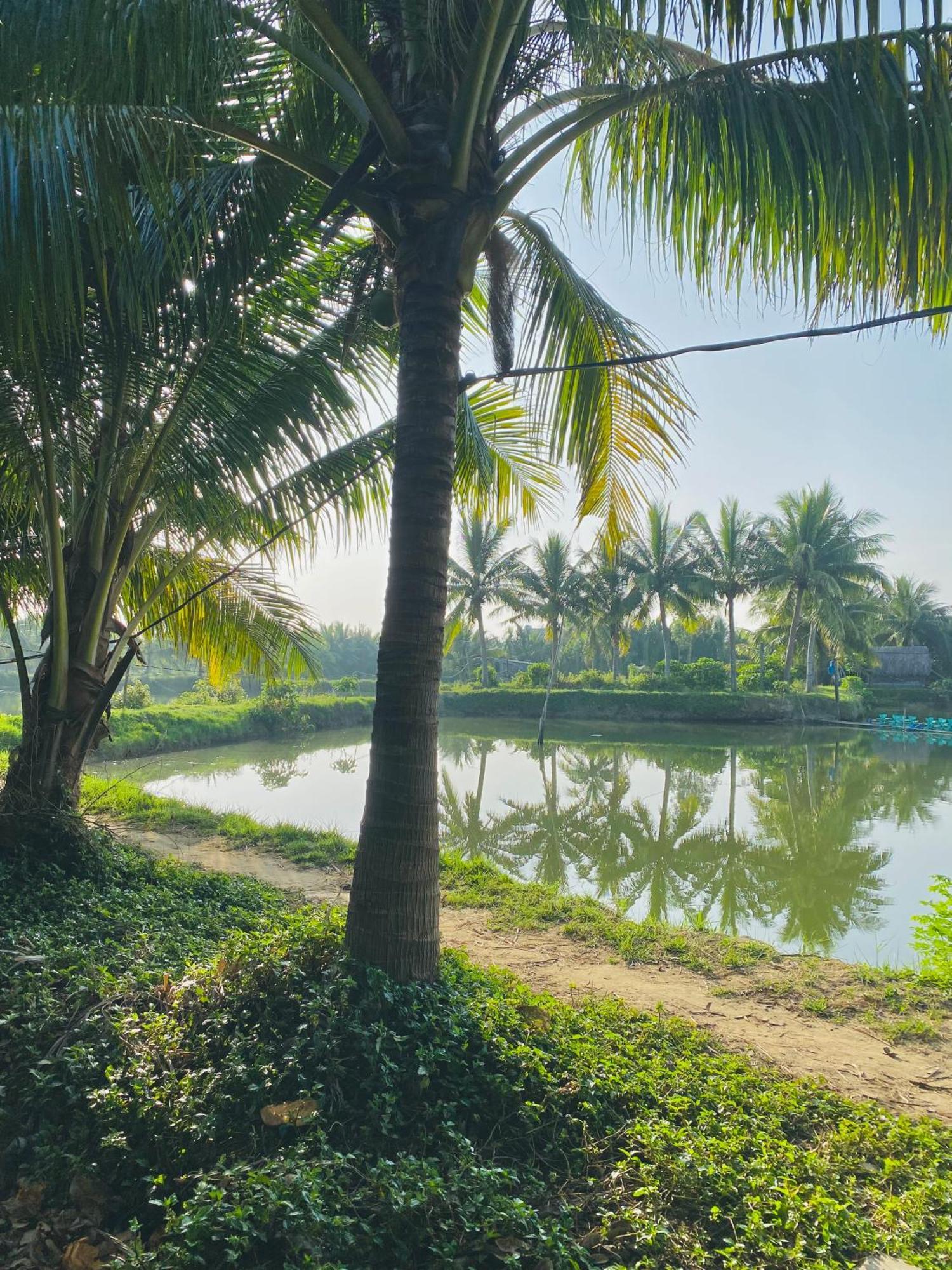 Laoxao Lakeview Homestay Hội An Kültér fotó