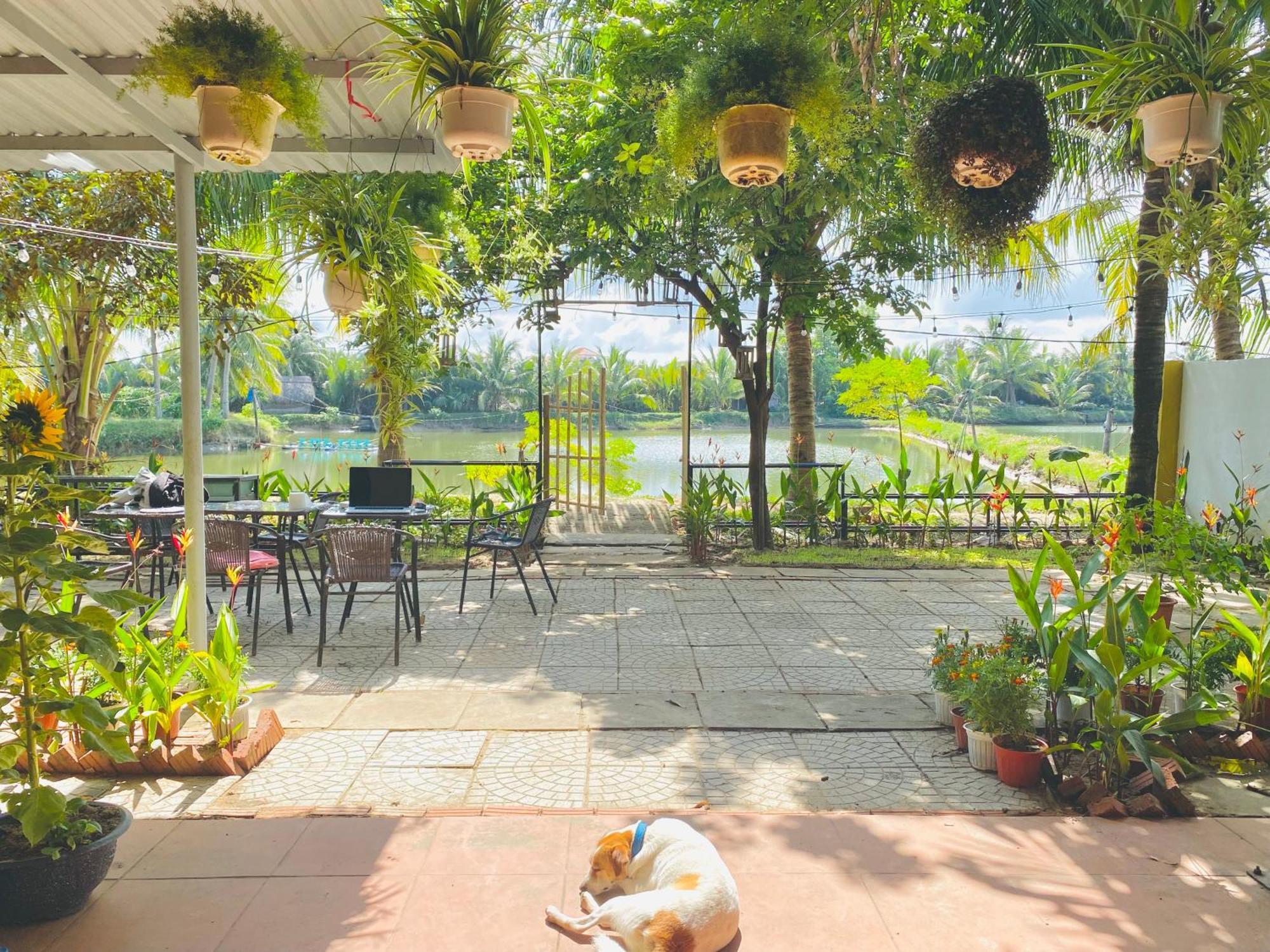 Laoxao Lakeview Homestay Hội An Kültér fotó